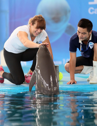 而埃基蒂克 而埃基蒂克